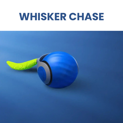 Whisker Chase