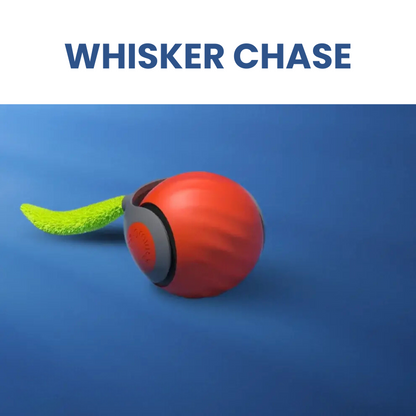 Whisker Chase